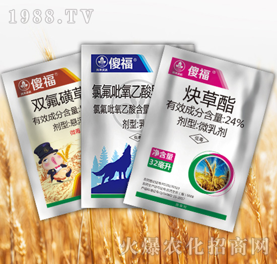 ɵ���M��-�к����_