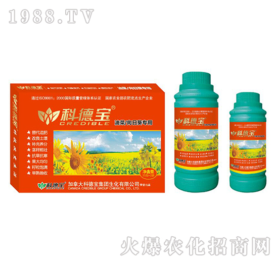 �Ͳ������տ����àI�B(y��ng)���a(ch��n)�{(di��o)�턩-�Ƶ�