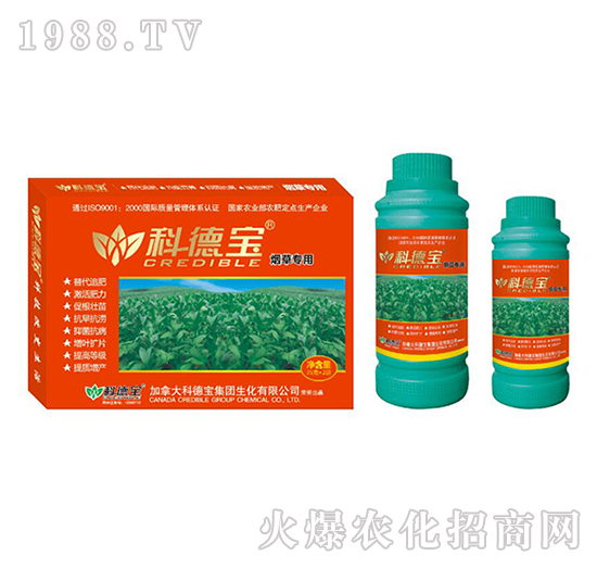 ���݌��àI�B(y��ng)���a(ch��n)�{(di��o)�턩-�Ƶ�