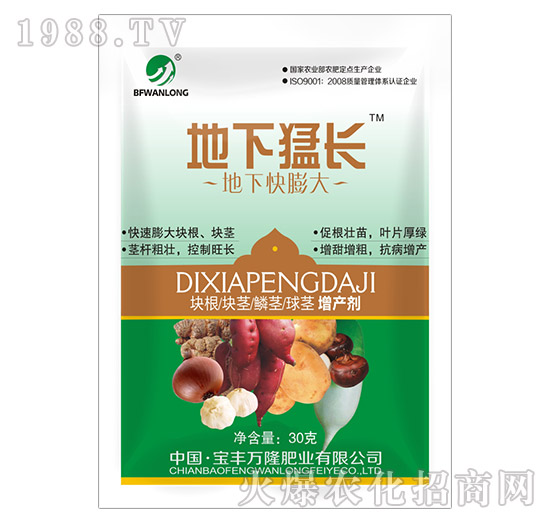 地下快膨大-地下猛長-寶豐萬隆