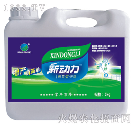 ΢�����|������-���S�f¡