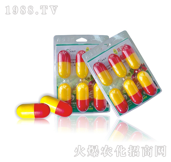 ֲ��˄���-�W��ɭ