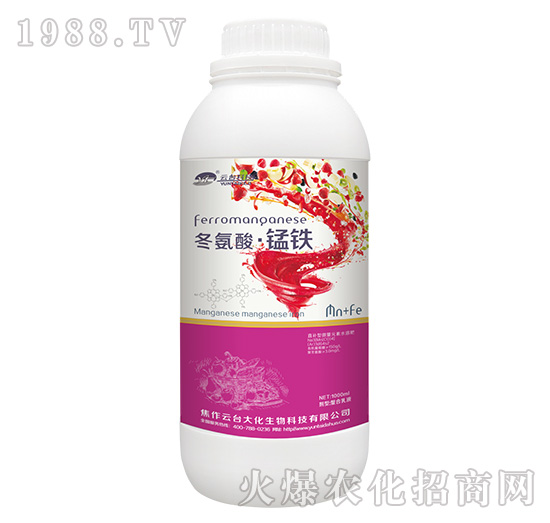 �����ᡤ�i�F-���_��