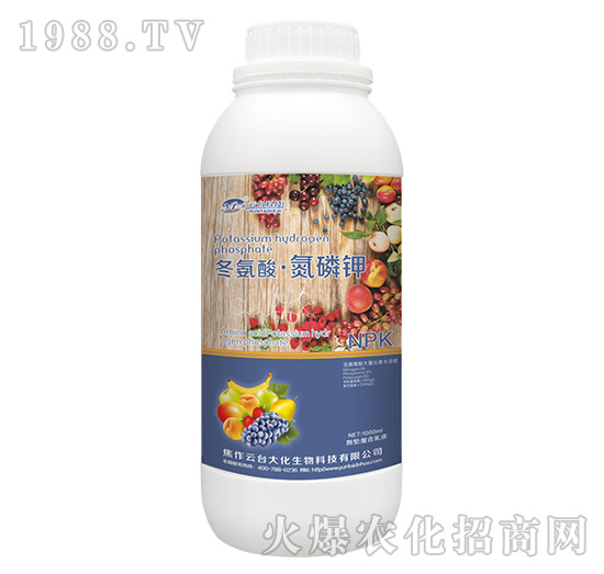 �����ᡤ�����-���_��