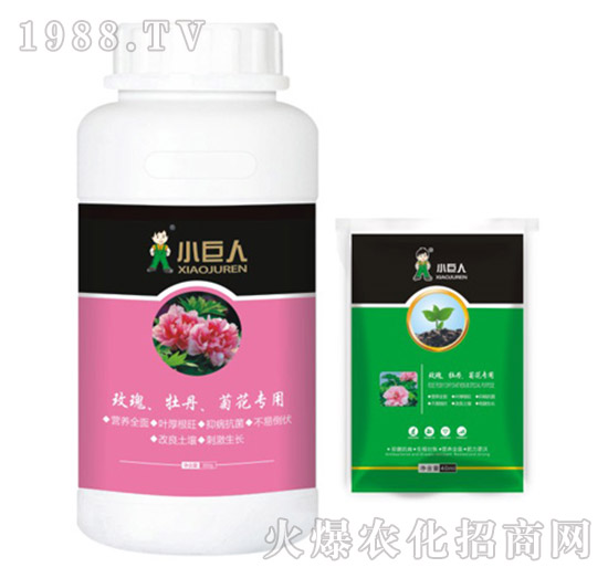 玫瑰、牡丹、菊花專(zhuān)用調(diào)節(jié)劑-小巨人