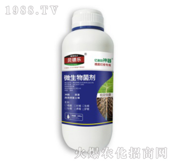 ������������΢�������-�����쿵-ؐ��(l��)