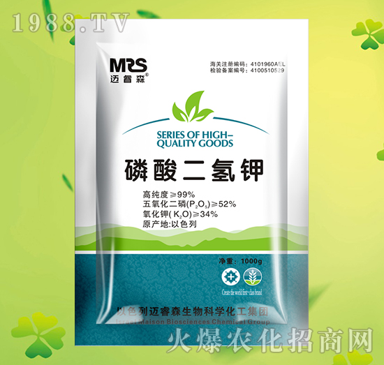 ��������-�~�ɭ