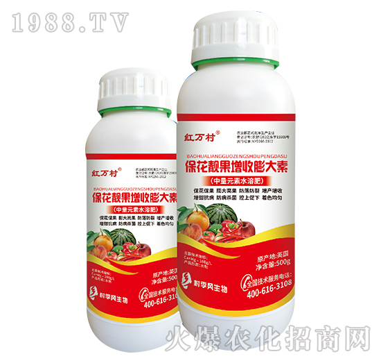 �����n�����������-���˹����r(n��ng)��