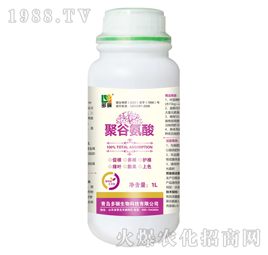 �۹Ȱ���-���P����