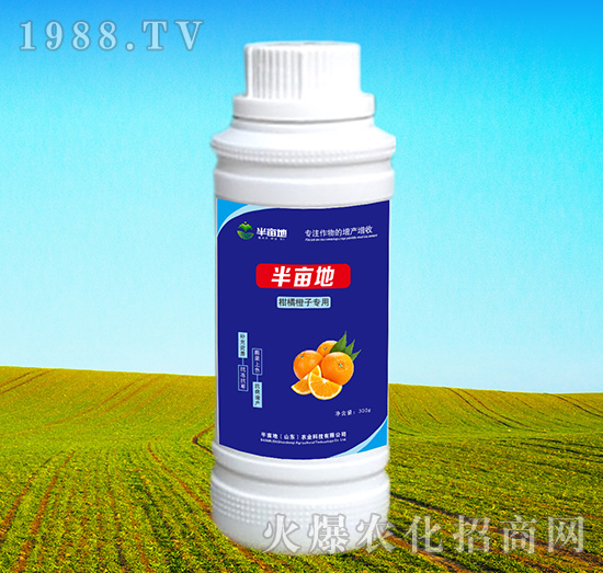 ���ٳ��ӌ�(zhu��n)���~���-�뮀��