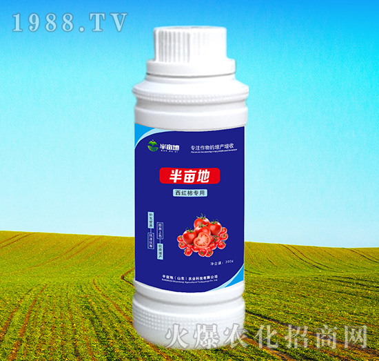 ���t����(zhu��n)���~���-�뮀��