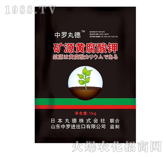 �VԴ�S�����-���_���-���_