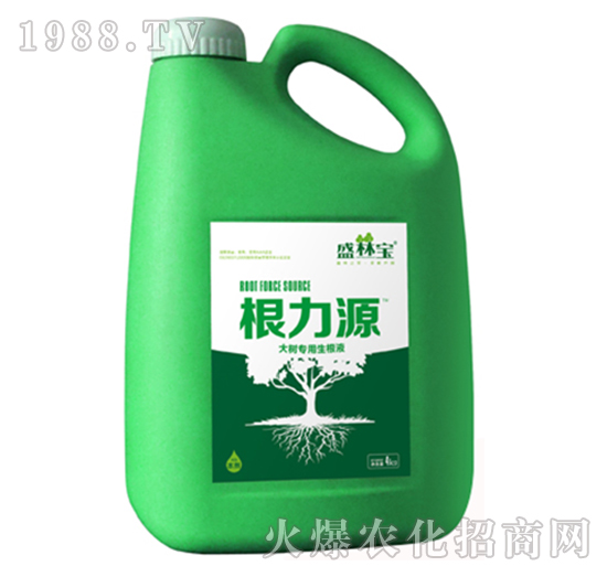 ����Դ��4���-�r(n��ng)��������