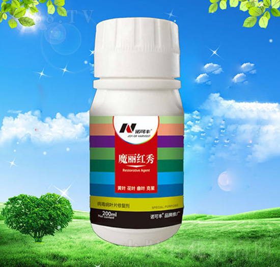 ħ���t��-�Z���S