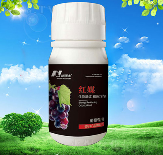 �tý���ь���-�Z���S