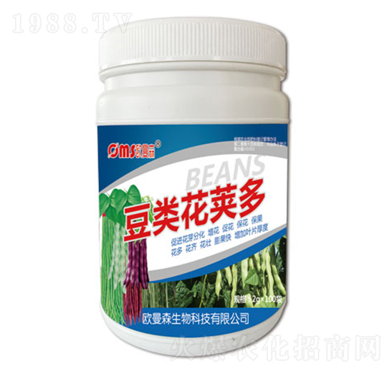 ���(l��i)���v��-�W��ɭ