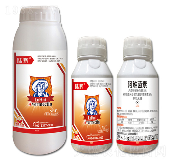 5%���S����-��x-��������