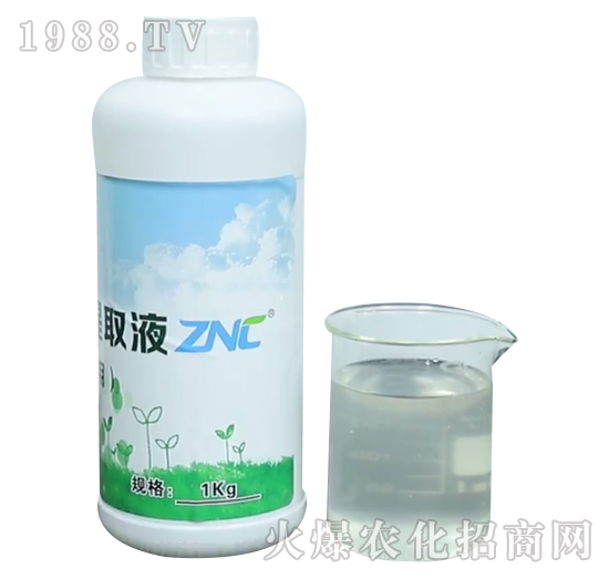 ZNC��N��(zhu��n)����-�����