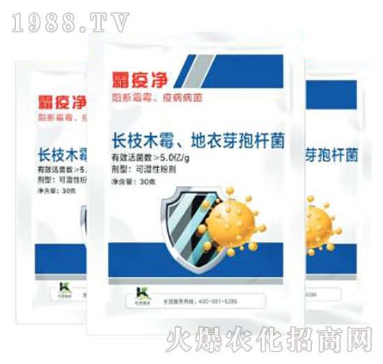 �L(zh��ng)֦ľù������ѿ�ߗU��-˪�߃�-����ֲ��