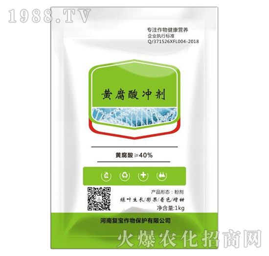 �S����_��-�͌�����