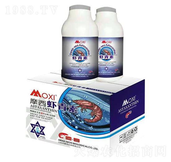 �r����-Ħϣ-�۹��Է