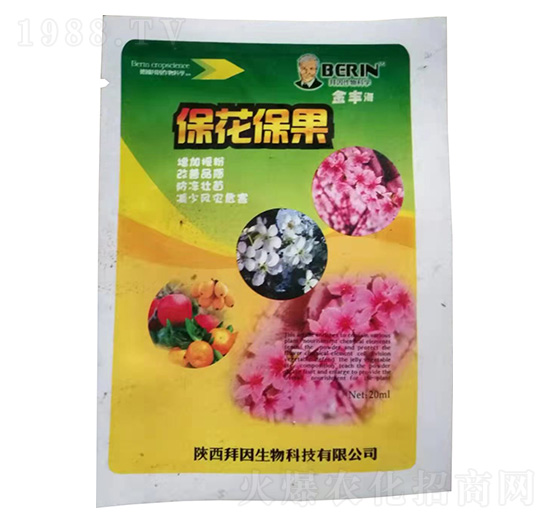 ��������-��������