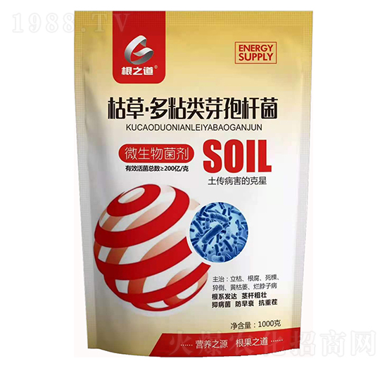 ΢�������-�ݲݡ���ճ�ѿ�ߗU��-��֮��