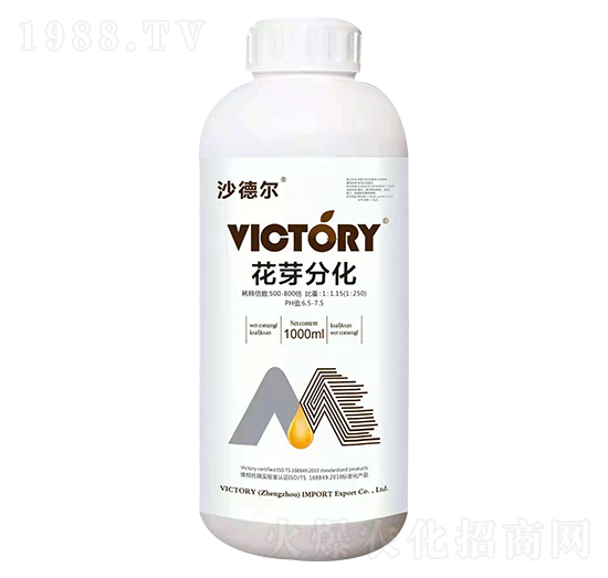 ��ѿ�ֻ�-ɳ� �-�S������