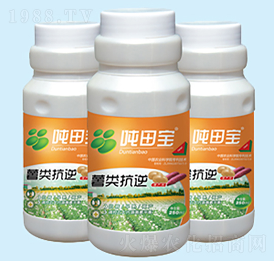 ����挣����-���-�����S��