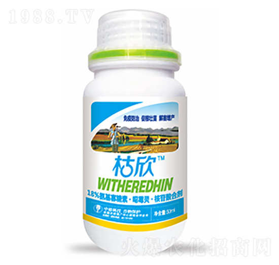 18%���������ء���ù�`��������τ�-����-�����Ƽ�