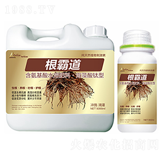 ���Ե�-�����Ƽ�