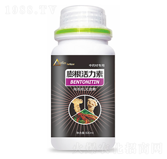 ��ˎ�Č������������-�����Ƽ�