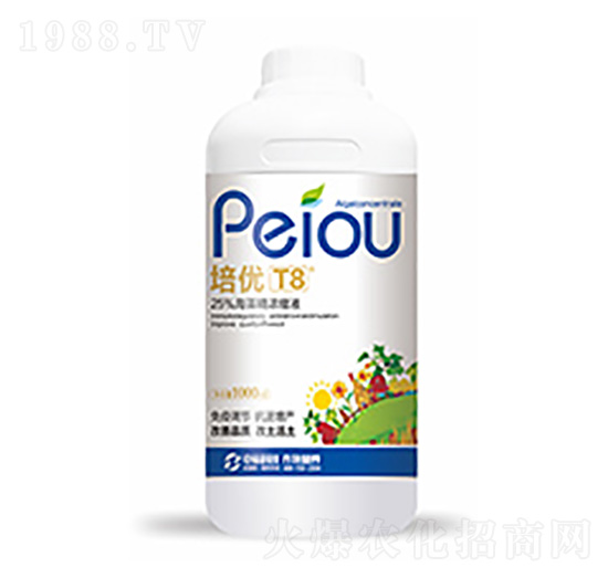 ����(y��u)T8-�����Ƽ�