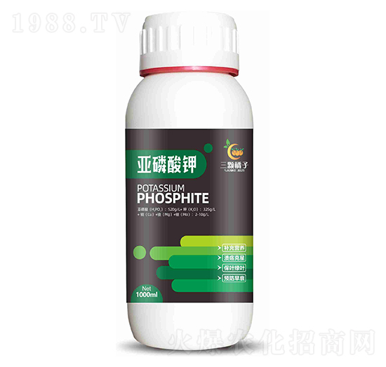 �������-���w����