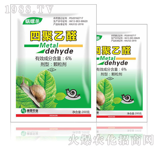 6%�ľ���ȩ-΁�ݚ�-���