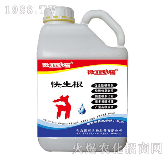 ������-΢���ร