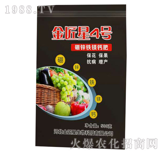 ���\�F�V�}��-����4̖-����