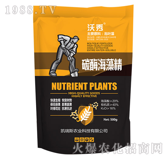 ̼ø���徫-����-�P��˹