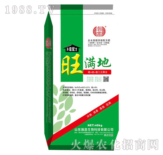 ���M��-嫲�����