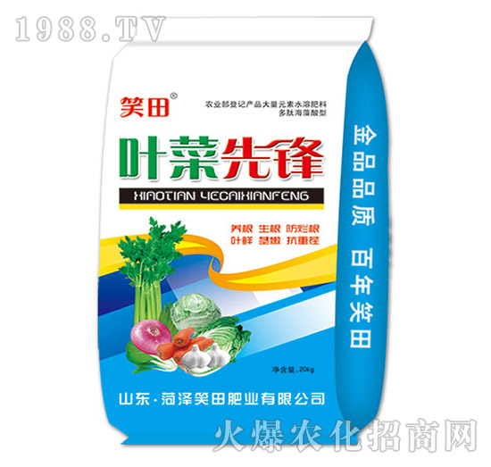 �~�����h-Ц��