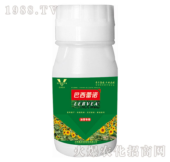 �Ϳ������~���-�������Z