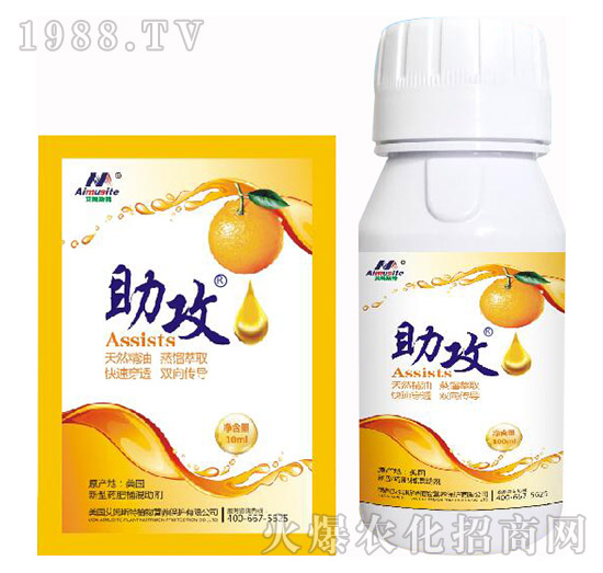 ����-��ķ˹��