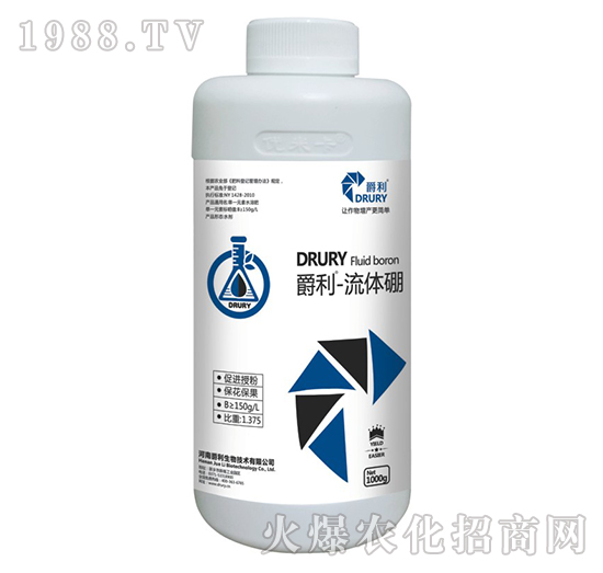 ���w��-��������