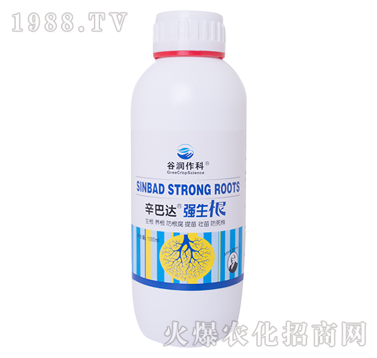 強(qiáng)生根-辛巴達(dá)-谷潤作科