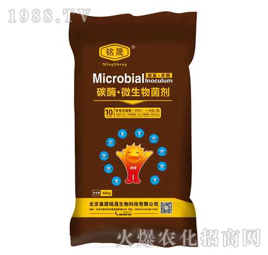 10�|���̼ø��΢�������-Ȫ�����