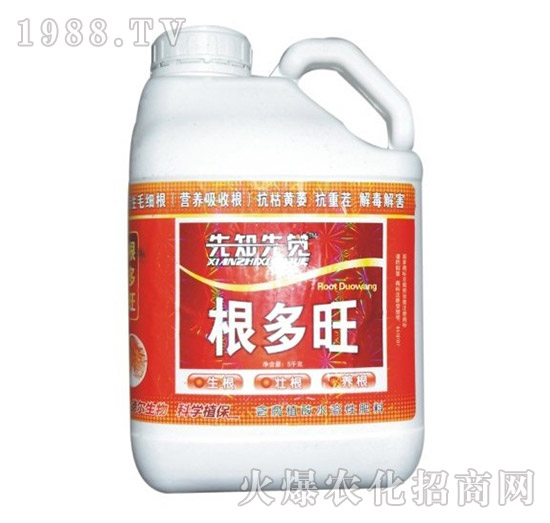 ������-� �����