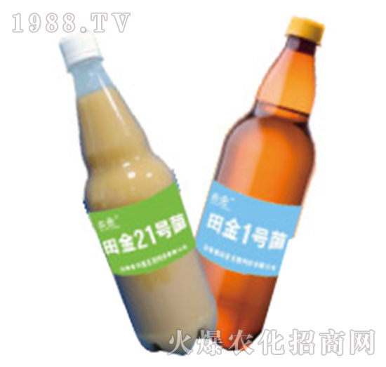 ΢������������-�������