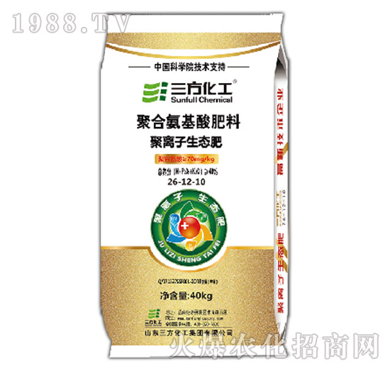 �ۺϰ��������-���x�����B(t��i)��26-12-10-��������