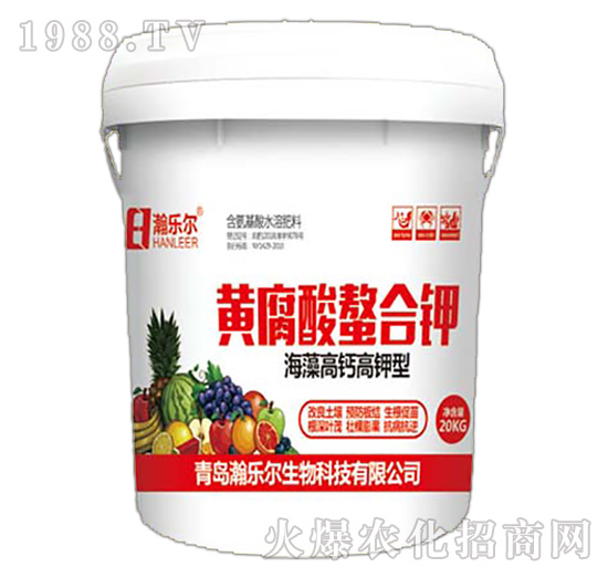 �S���������-嫘���