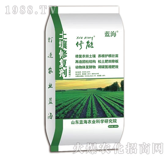 �����ޏ̈́�-����-�{��